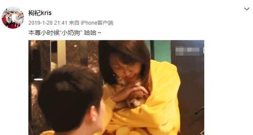 张恒爆料狗狗视频,背后真相令人震惊  第1张